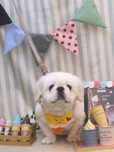 20250524モコくん